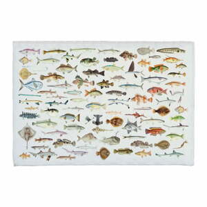 Kúpeľňová podložka s prímesou bavlny Really Nice Things Fish in the Ocean, 40 x 60 cm