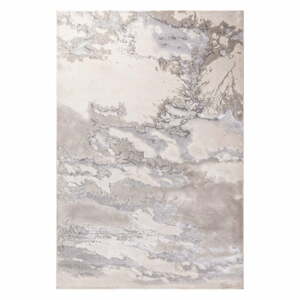 Sivý koberec 290x200 cm Aurora - Asiatic Carpets