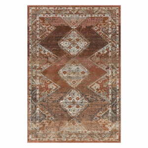 Červeno-hnedý koberec 170x120 cm Zola - Asiatic Carpets