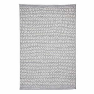 Sivý vonkajší koberec 170x120 cm Coast - Think Rugs