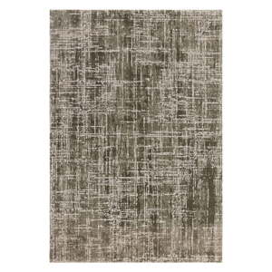 Khaki koberec 200x290 cm Kuza – Asiatic Carpets