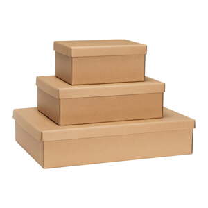 Kartónové úložné boxy v súprave 3 ks s vekom v prírodnej farbe 44x31x10 cm Storeit – Hübsch