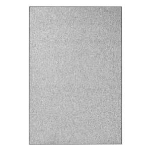 Sivý koberec 200x300 cm Wolly – BT Carpet