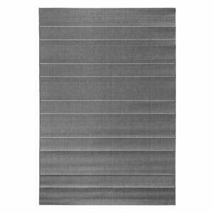 Sivý vonkajší koberec Hanse Home Sunshine, 80 x 150 cm